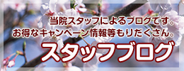 スタッフブログ
